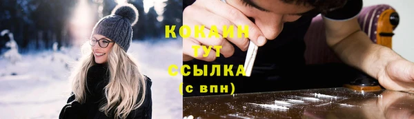 стаф Волосово